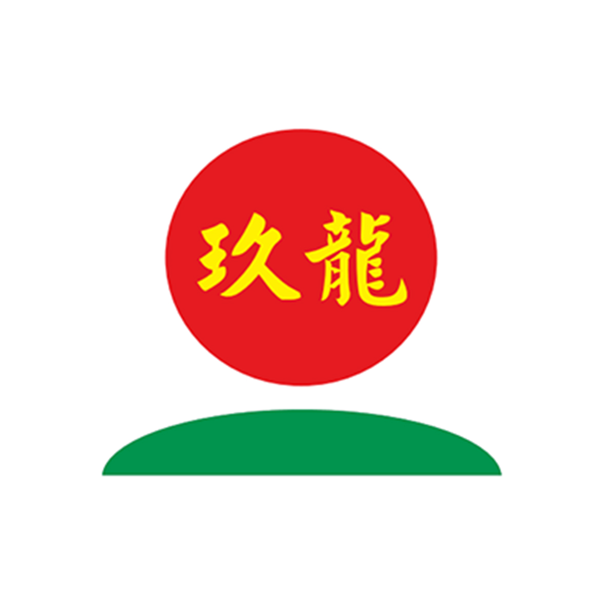 玖龙纸业 logo